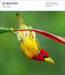 Audubon Nature 2025 Gallery Page A Day Calendar    