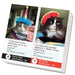 Bad Cat 2025 Page A Day Calendar    