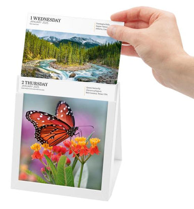 Audubon Nature 2025 Gallery Page A Day Calendar    