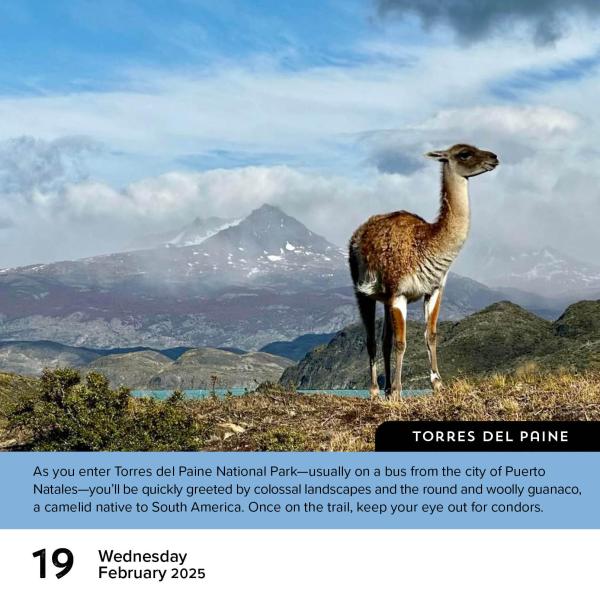 Walks of The World 2025 Page A Day Calendar    