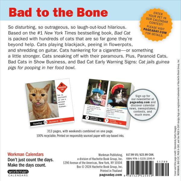 Bad Cat 2025 Page A Day Calendar    