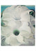 Georgia O'Keeffe Assorted Notecard Folio    