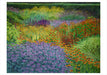 Rosalind Wise Garden Borders Boxed Assorted Note Cards    