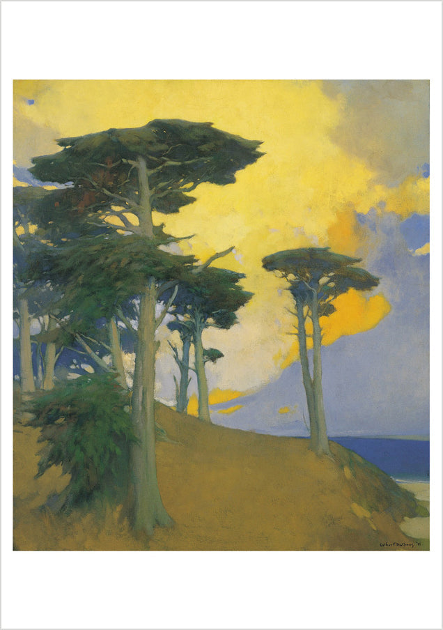 Arthur F. Mathews Cypresses Boxed Assorted Note Cards    