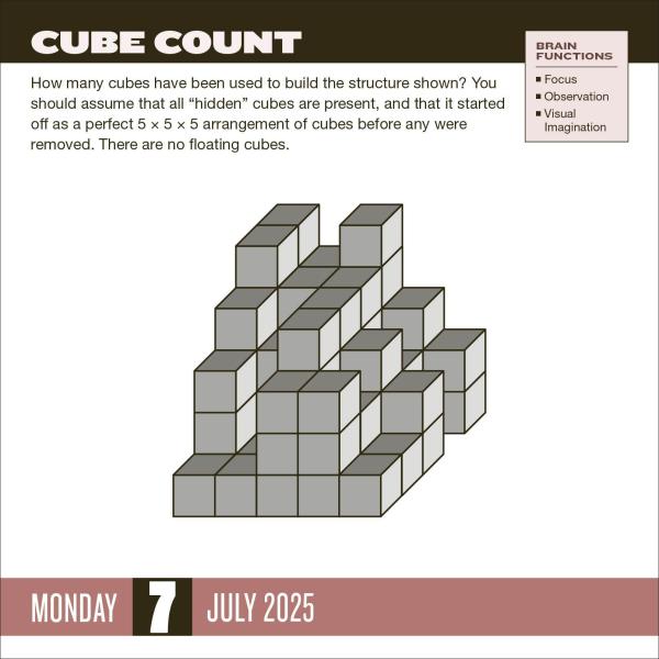 Brainpower Puzzles 2025 Page A Day Calendar    