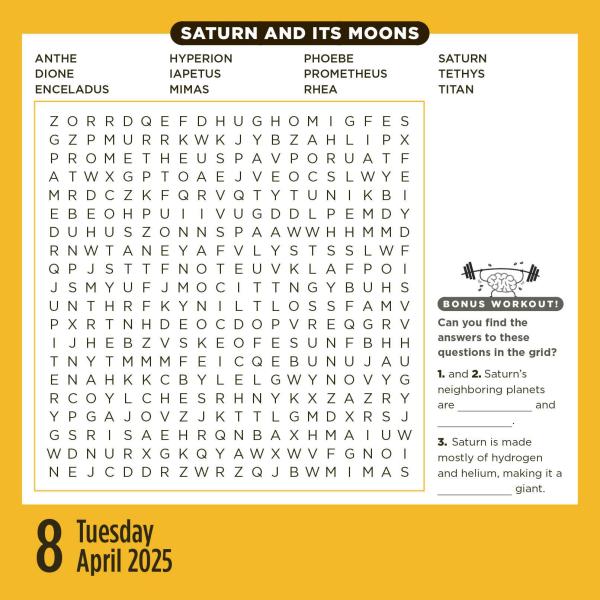 Brain Workout Word Search 2025 Page A Day Calendar    