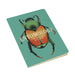 UPG Insect (Entomology) Notebook