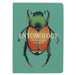 UPG Insect (Entomology) Notebook