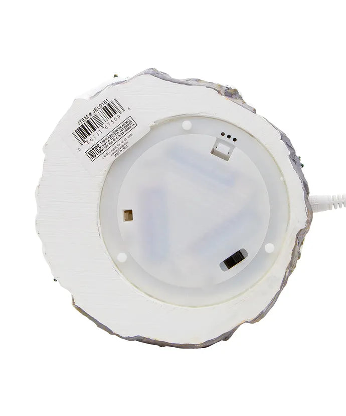 Santa In His Sleigh 120mm LED Water Globe