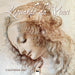 Leonardo da Vinci 2027 Wall Calendar