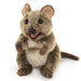 Folkmanis Puppet - Quokka