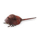 Folkmanis Puppet - Horseshoe Crab
