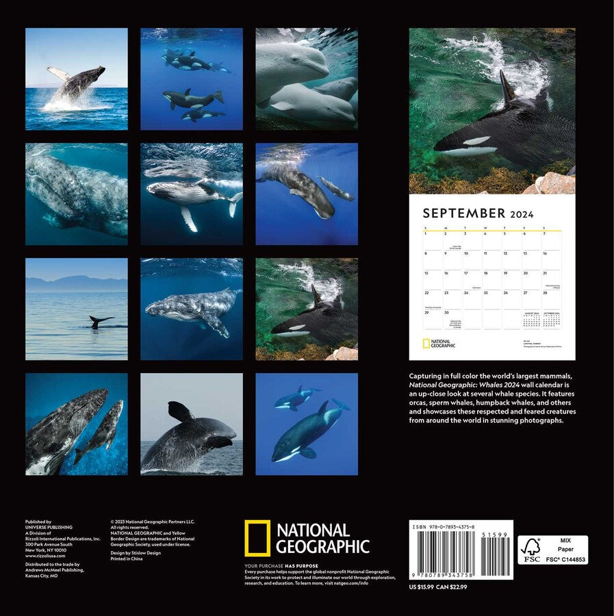 National Geographic Whales 2024 Wall Calendar    