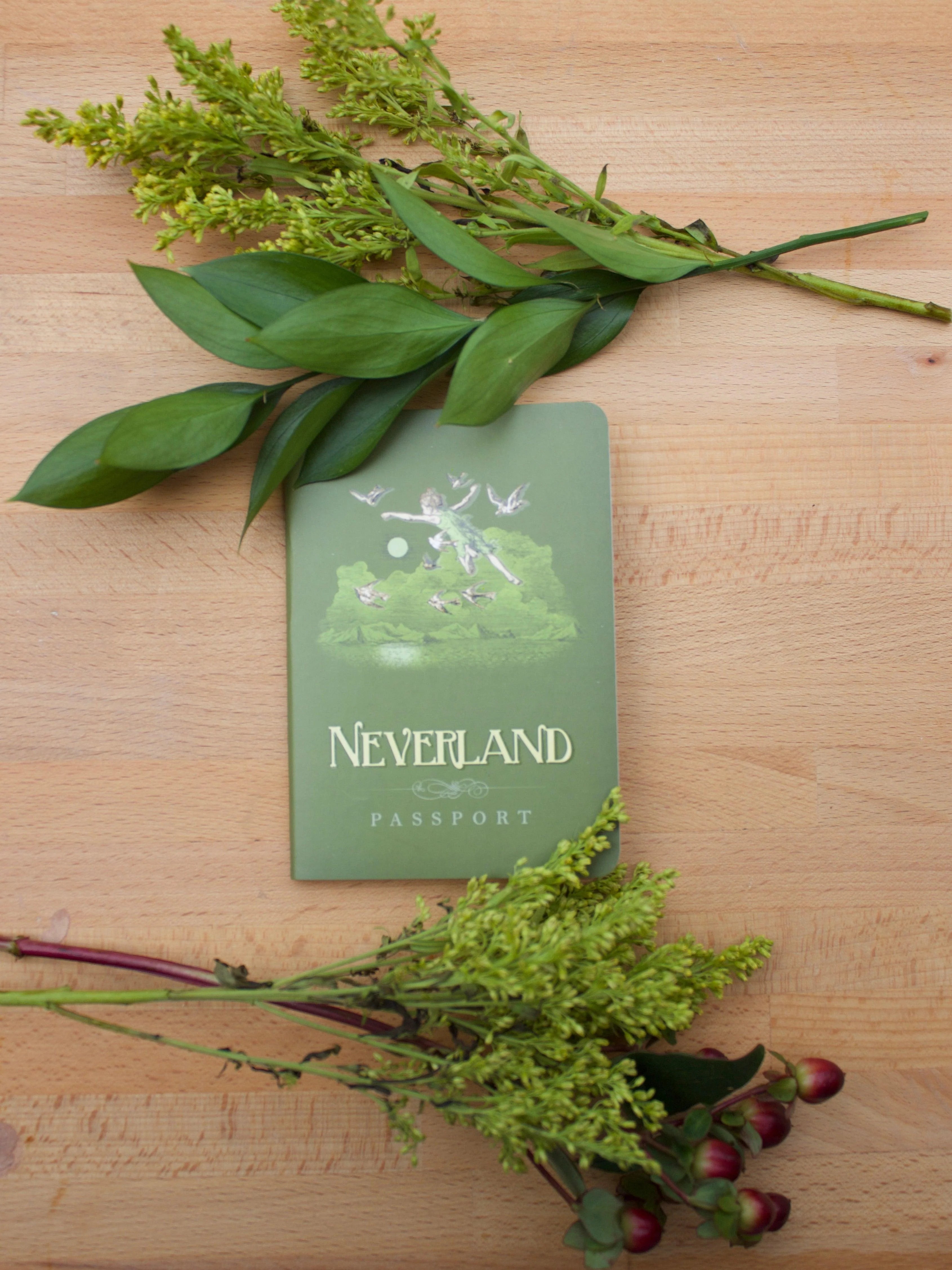 Neverland Passport Notebook