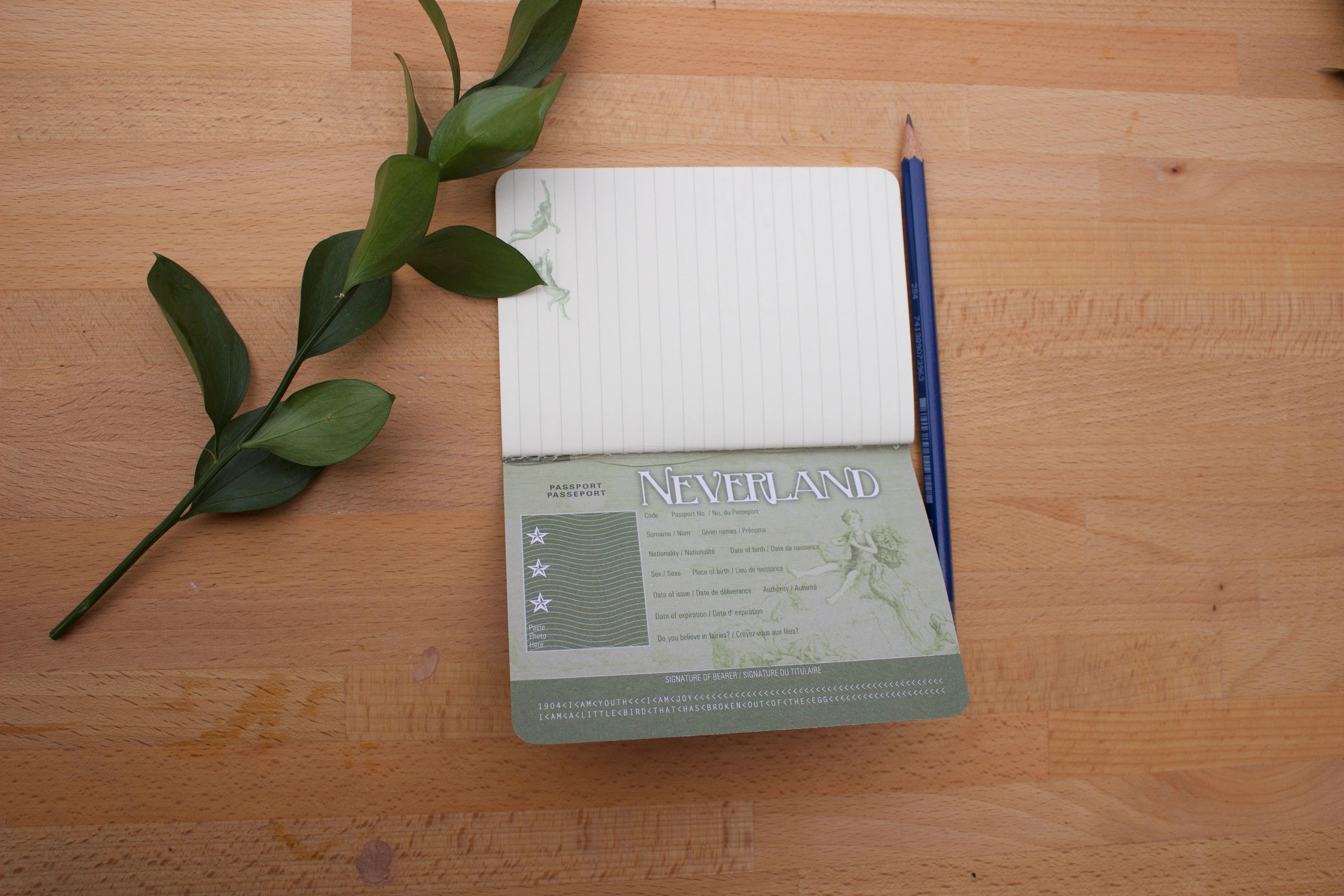 Neverland Passport Notebook