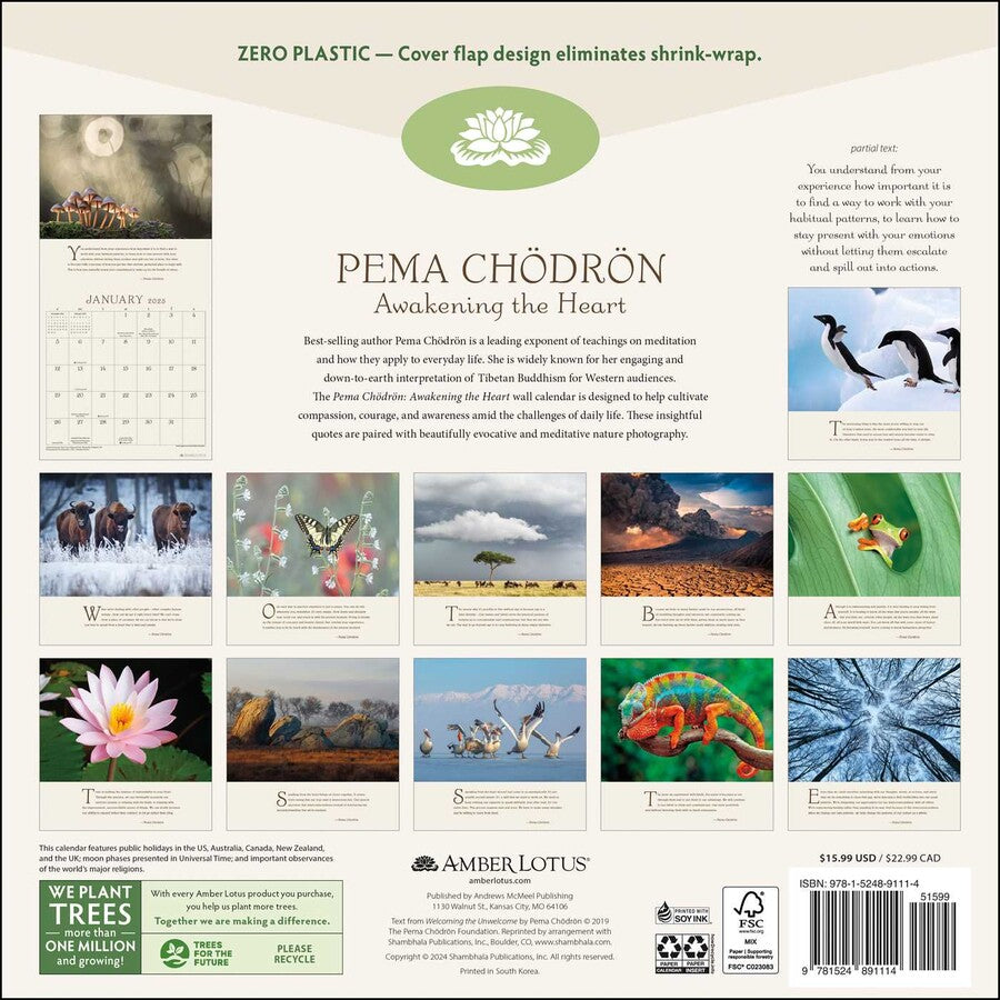 Pema Chödrön Awakening The Heart 2025 Wall Calendar    