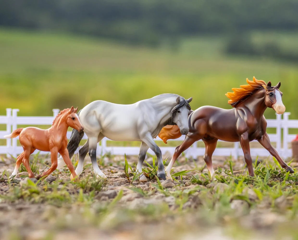 BRYR Playful Pony Family