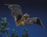 Folkmanis Puppet - Fruit Bat