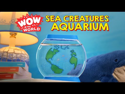 Sea Creatures Aquarium