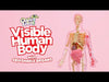Thames & Kosmos Visible Human Body with Squishable Organs
