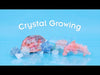 Thames & Kosmos Crystal Growing Kit