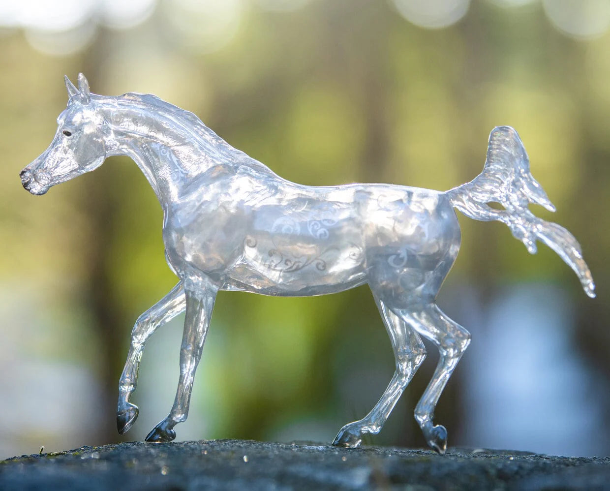 BRYR Radiance | 75th Anniversary Limited Edition