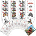 MSTR T-Rex Playing Cards