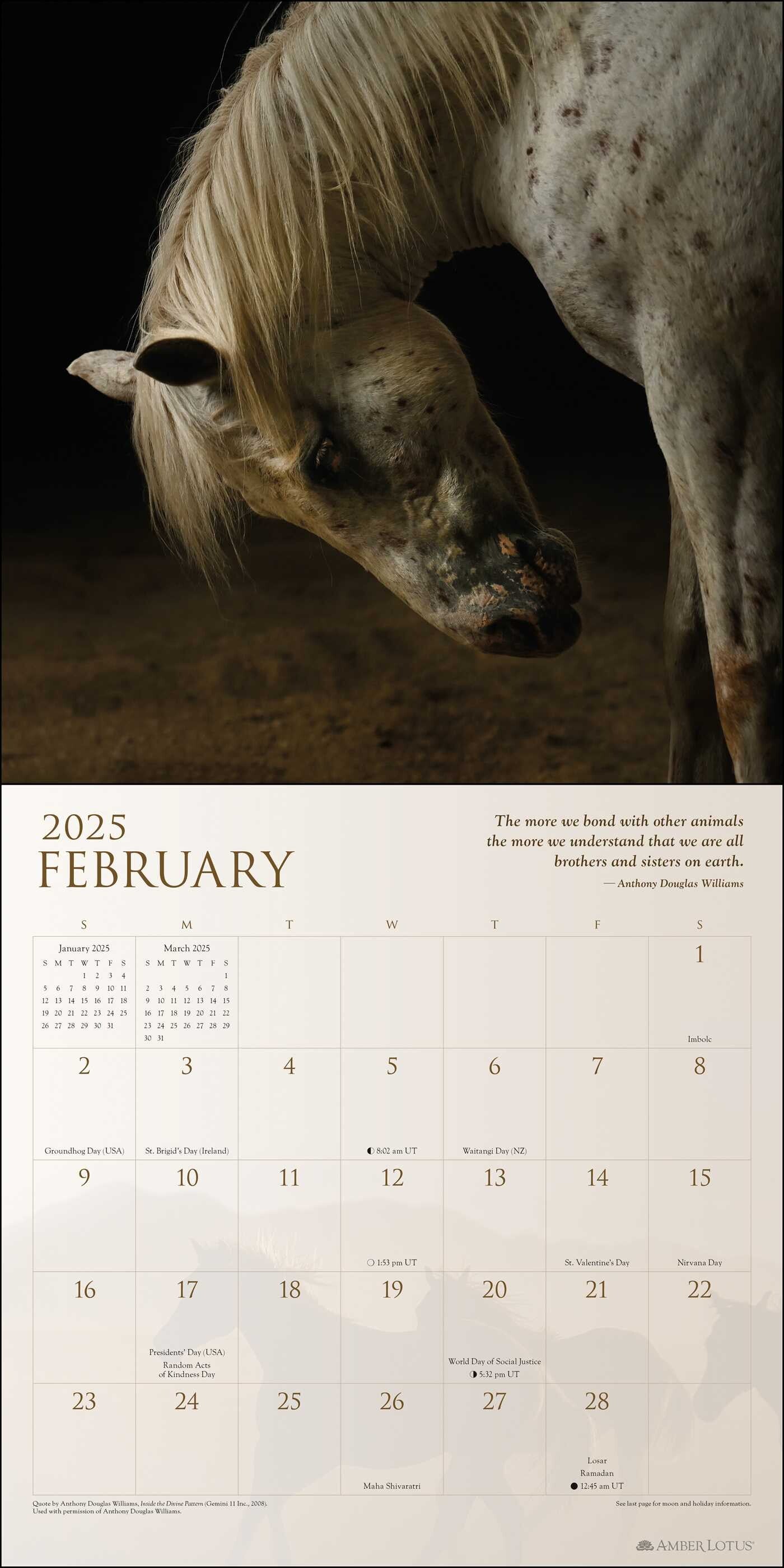 Spirit Horses 2025 Wall Calendar    