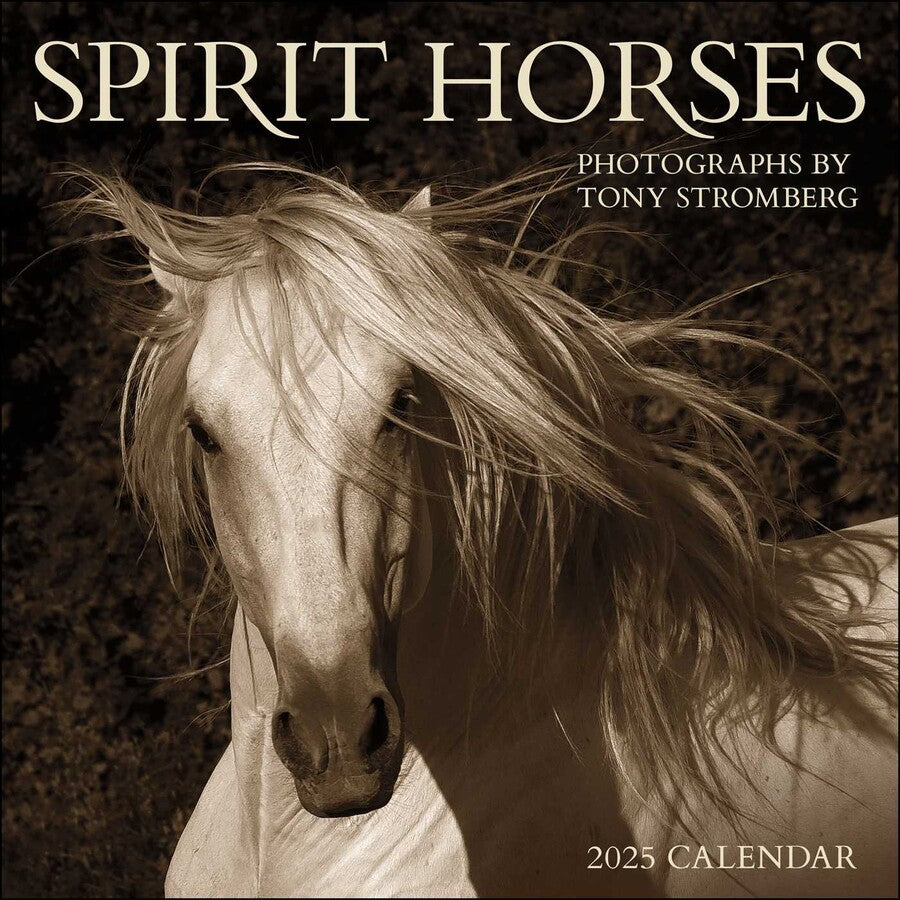 Spirit Horses 2025 Wall Calendar    