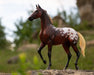 BRYR Sport Horse | Breyer 75th Anniversary