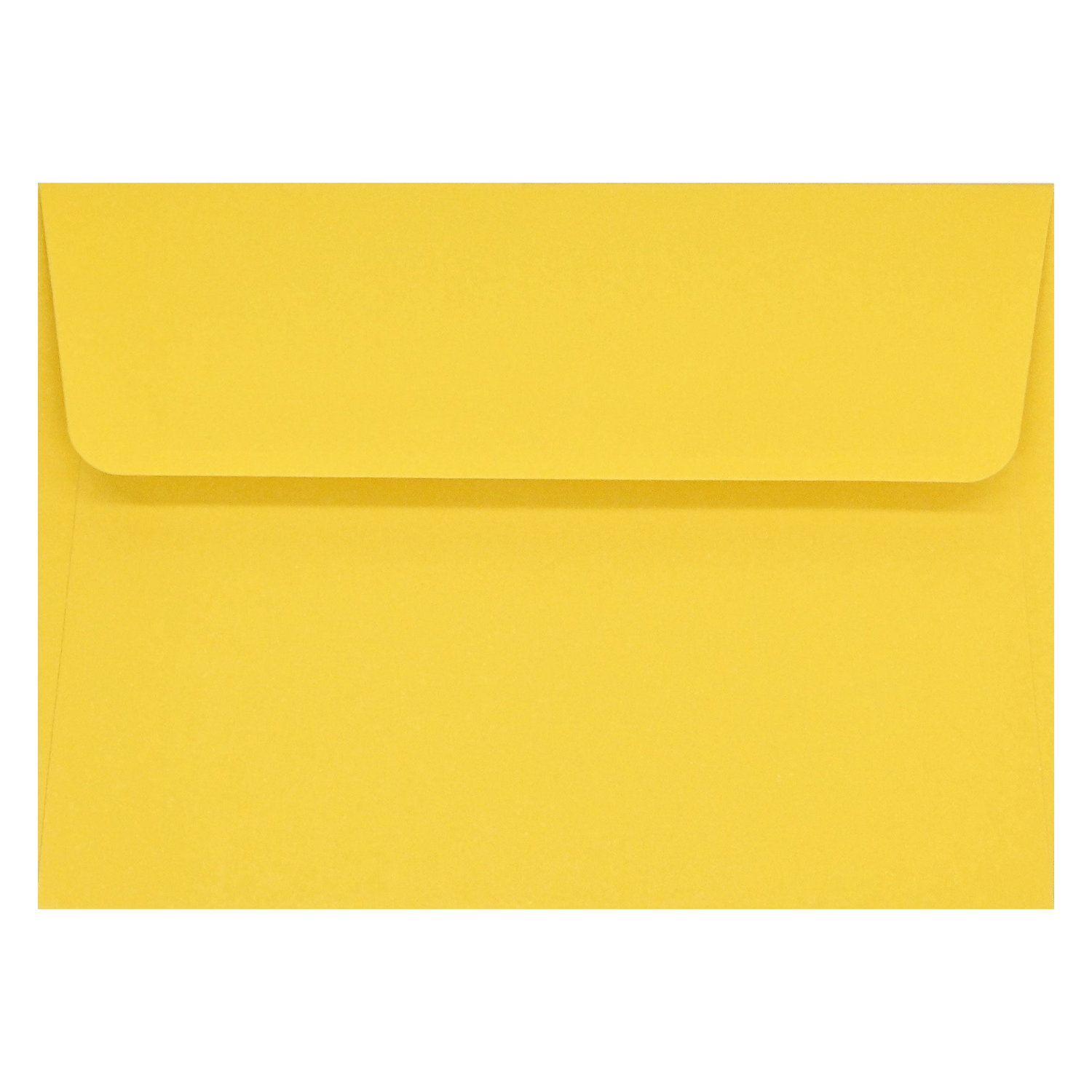 PTR Sunflower Dreams - Boxed Note Cards