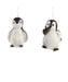 Flocked Penguin Ornament - (Single) Various Options