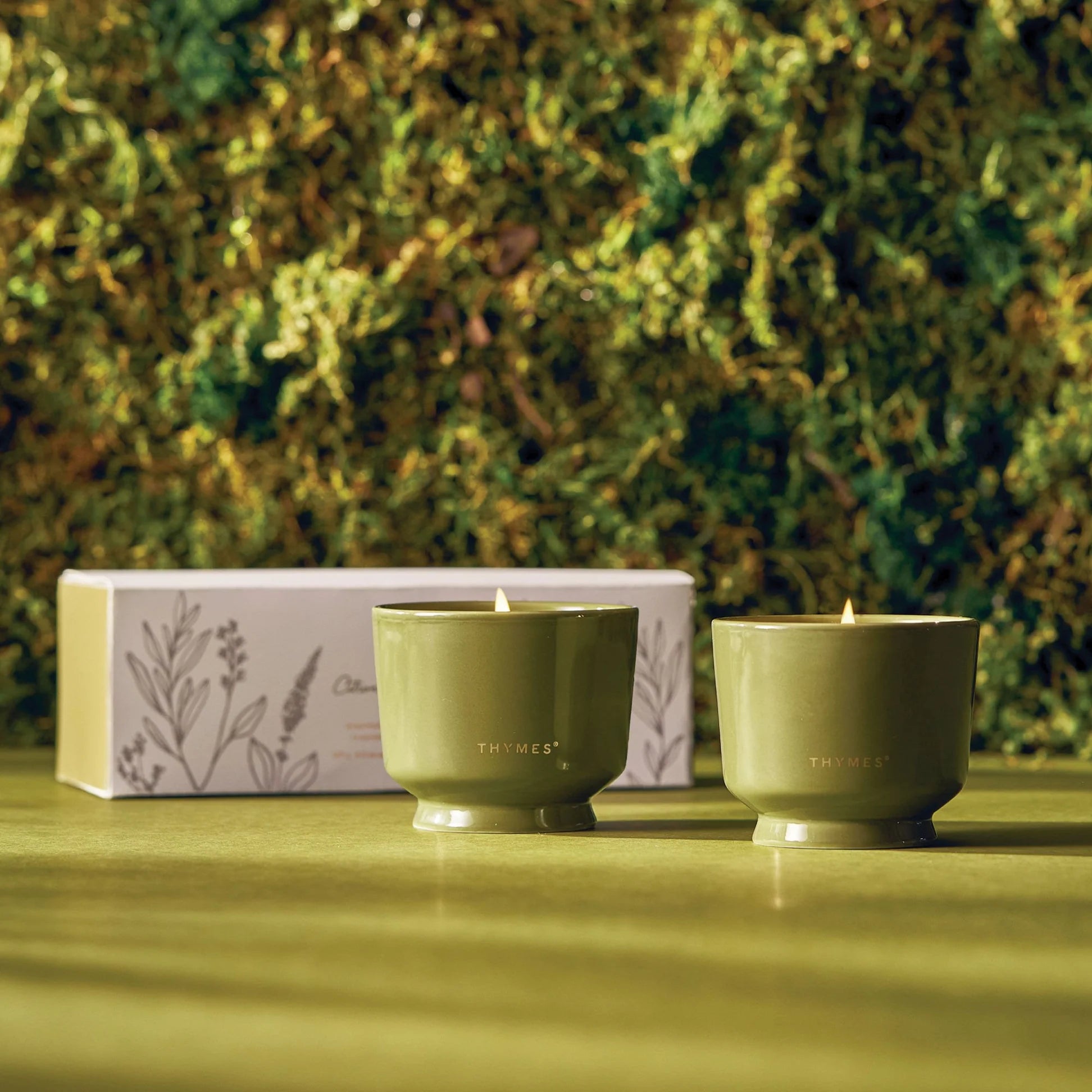 Thymes Outdoor Oasis Citronella Grove Aromatic Candle Set