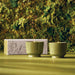 Thymes Outdoor Oasis Citronella Grove Aromatic Candle Set
