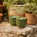 Thymes Outdoor Oasis Citronella Grove Aromatic Candle Set