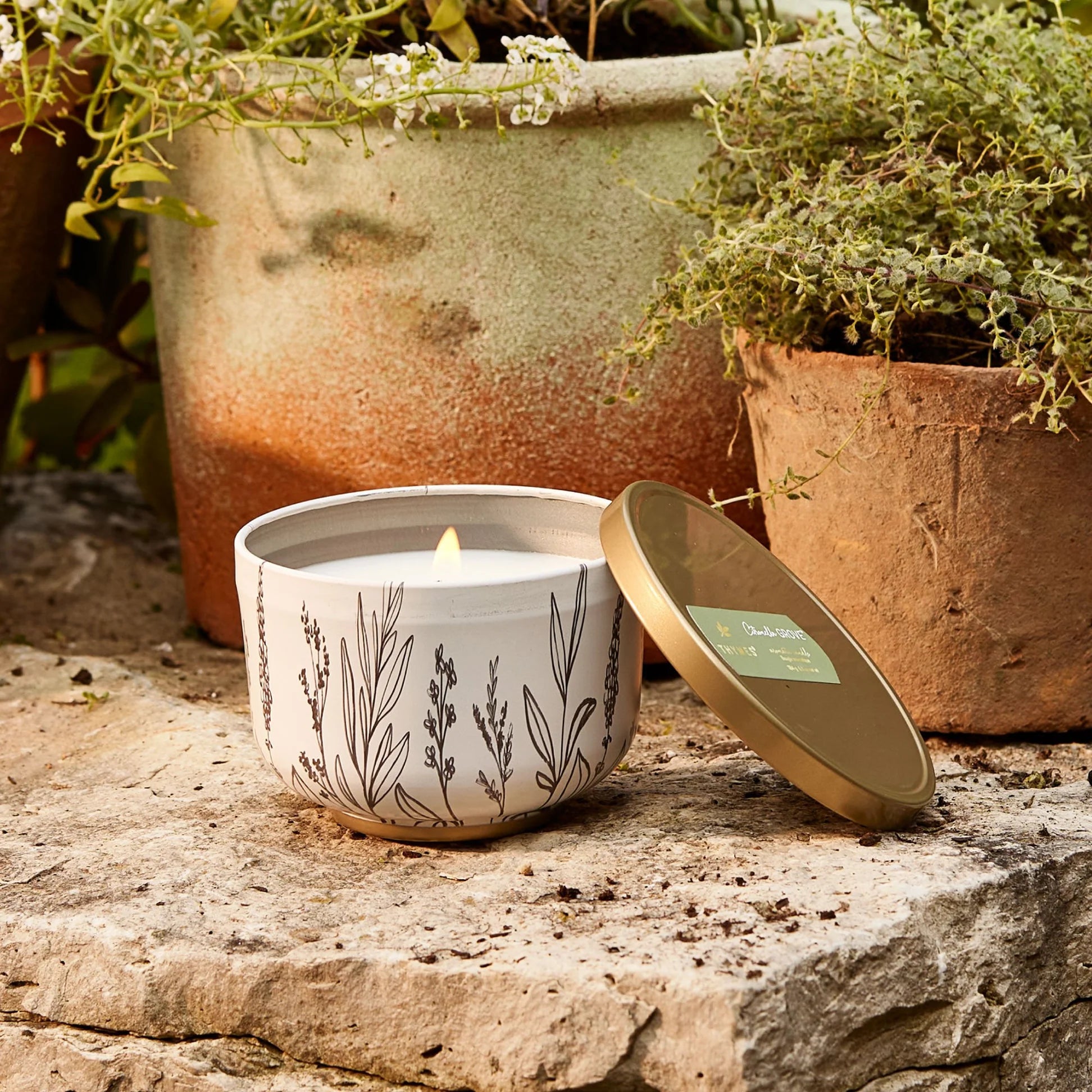 Thymes Outdoor Oasis Citronella Grove Poured Candle Tin with Gold Lid