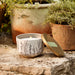 Thymes Outdoor Oasis Citronella Grove Poured Candle Tin with Gold Lid