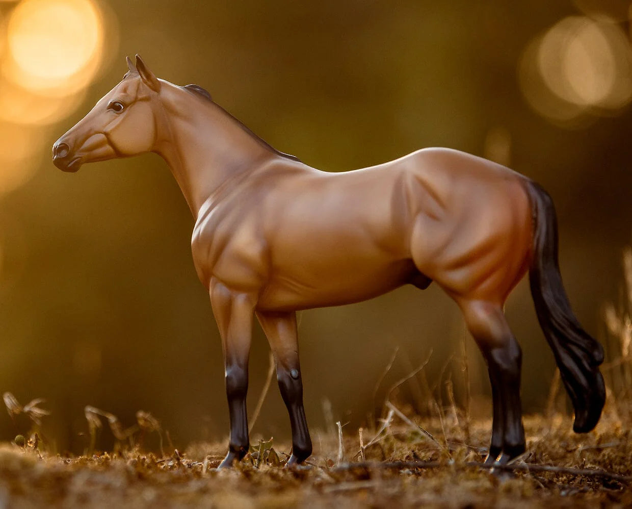 BRYR The Ideal Series | Buckskin