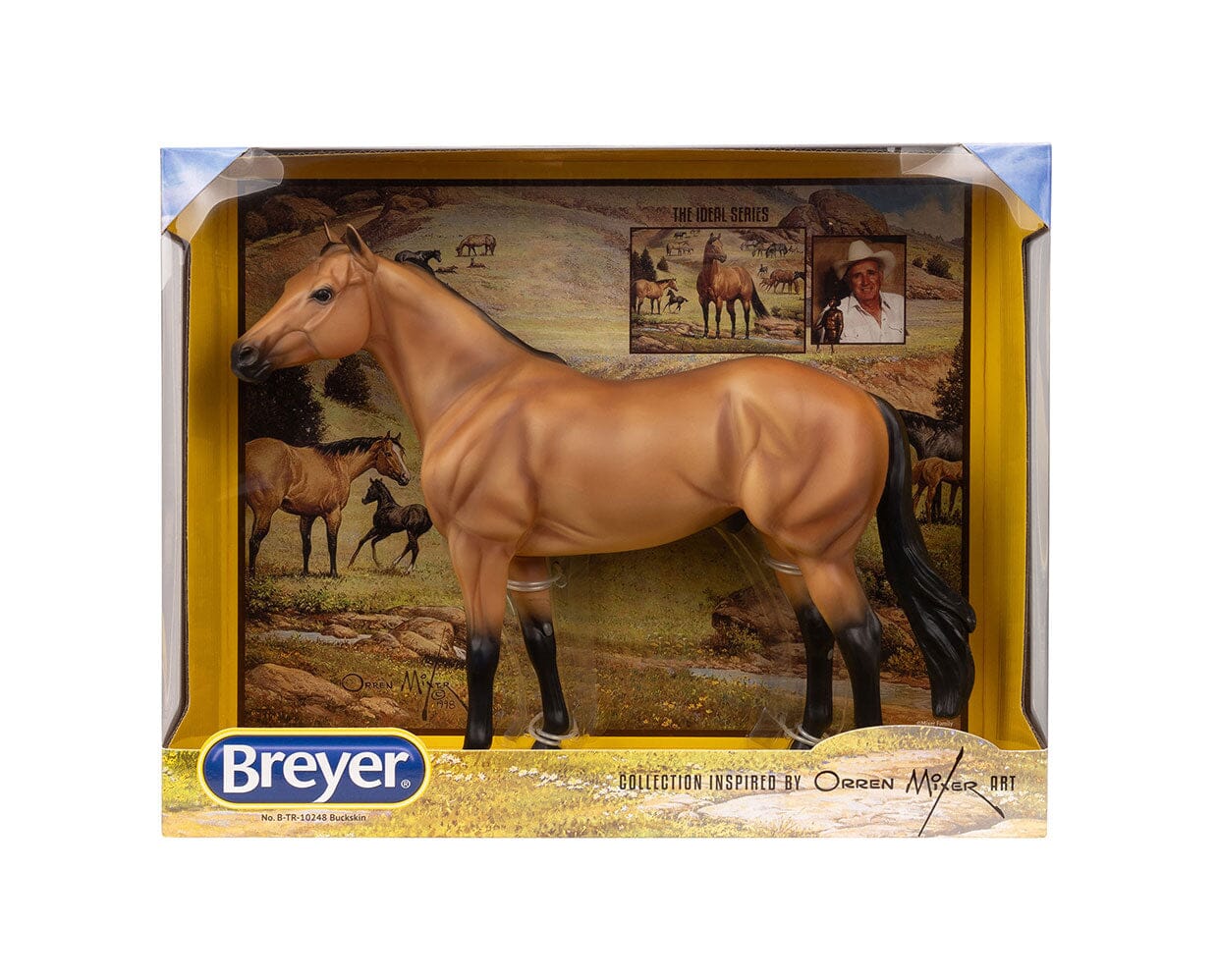 BRYR The Ideal Series | Buckskin
