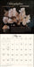 The Miraculous Mushroom 2025 Wall Calendar    