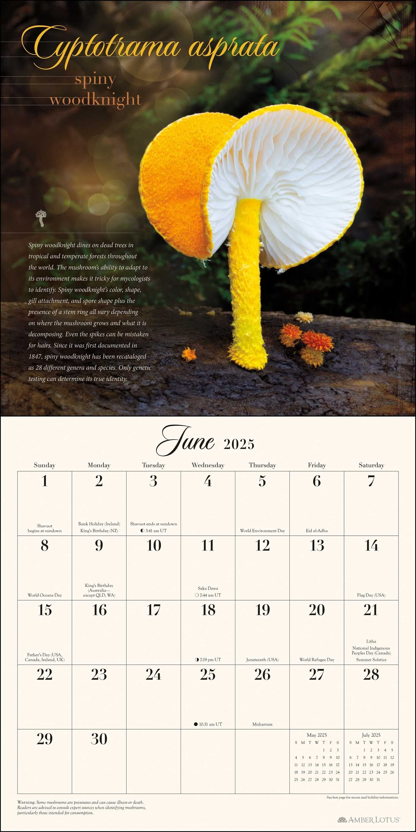 The Miraculous Mushroom 2025 Wall Calendar    