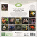 The Miraculous Mushroom 2025 Wall Calendar    