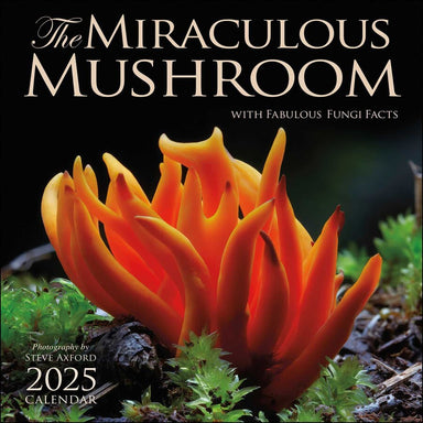 The Miraculous Mushroom 2025 Wall Calendar    