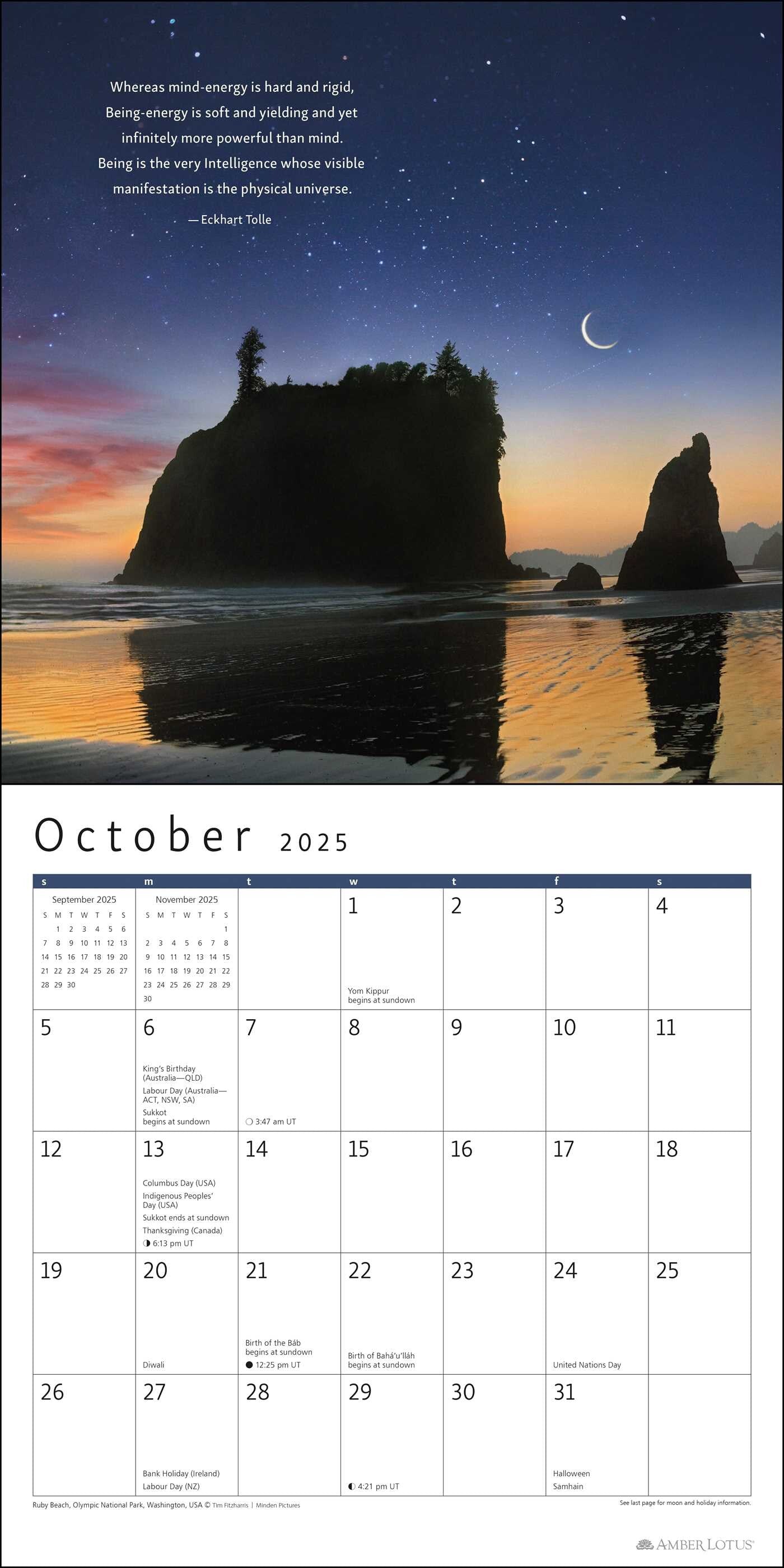 The Power of Now by Eckhart Tolls 2025 Wall Calendar    