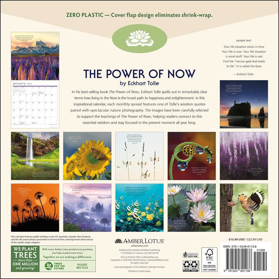 The Power of Now by Eckhart Tolls 2025 Wall Calendar    