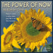 The Power of Now by Eckhart Tolls 2025 Wall Calendar    