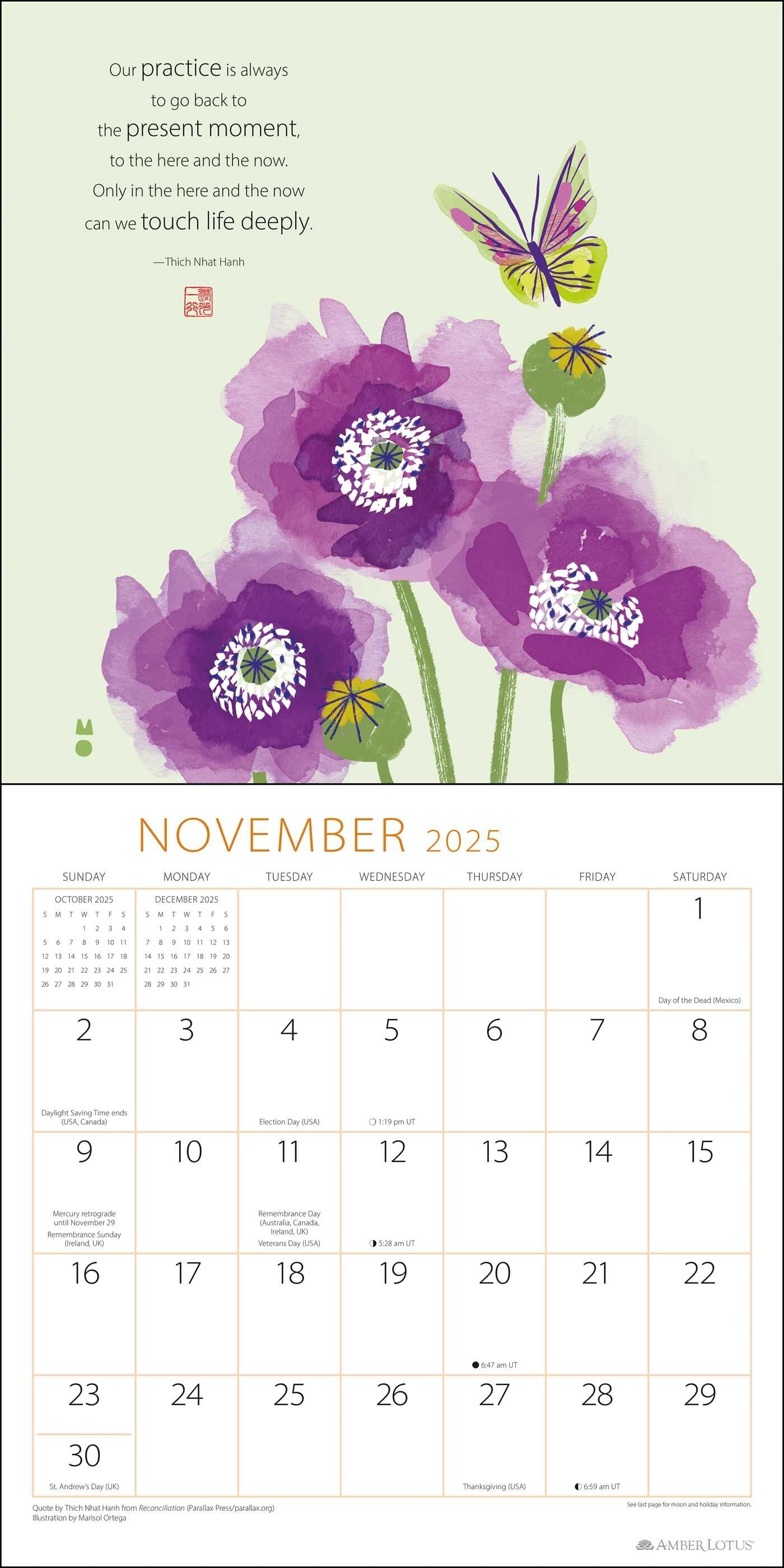 Thich Nhat Hanh Touching Peace 2025 Wall Calendar    