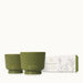 Thymes Outdoor Oasis Citronella Grove Aromatic Candle Set
