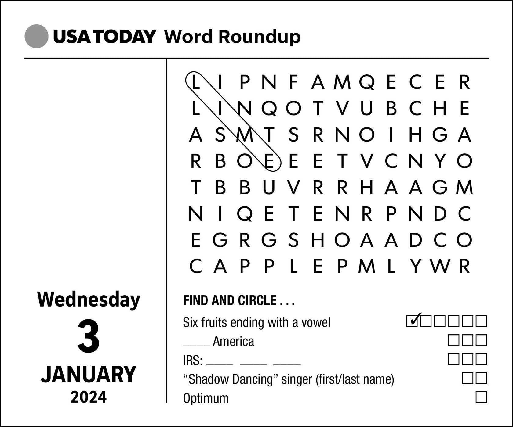 USA Today Word Roundup Puzzles 2024 Page A Day Calendar    