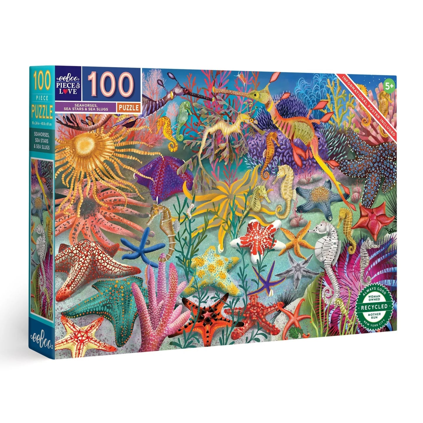 Seahorses, Sea Stars, & Sea Slugs 100 Piece Puzzle